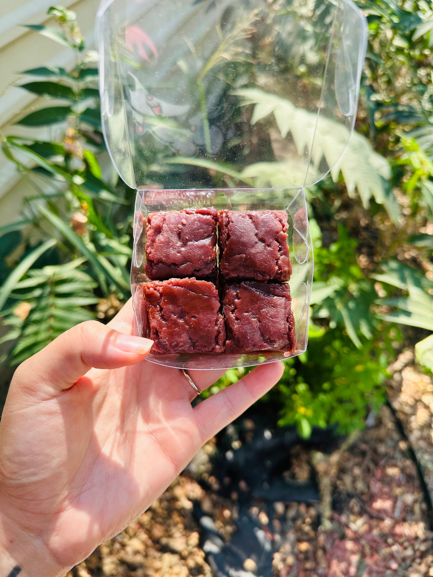 Brownie Wax Melts