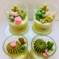 Succulent Candle