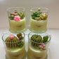 Succulent Candle